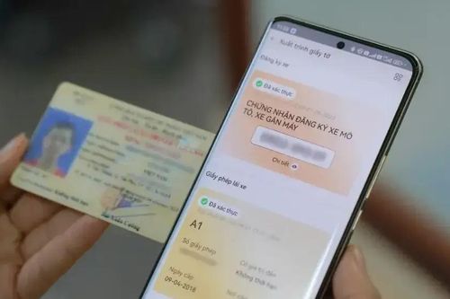 Đề xuất linh hoạt hơn trong phục hồi điểm GPLX