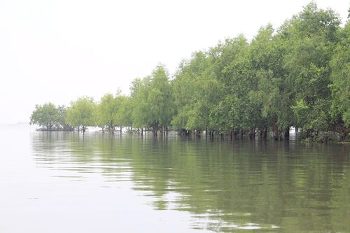 Hưng Yên vươn ra biển lớn để 'cất cánh' trong kỷ nguyên vươn mình của dân tộc
