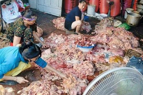Phát hiện cơ sở chế biến mỡ lợn dưới nền nhà, nước đen ngòm