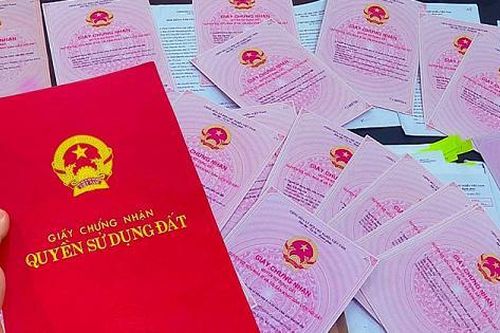 Sổ đỏ đang thế chấp ngân hàng, chủ hộ vẫn ngang nhiên lừa bán đất