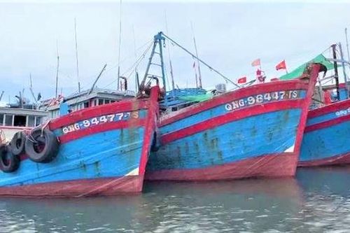 Quảng Ngãi: Xử phạt 7 tàu cá vi phạm với số tiền gần 2 tỷ đồng