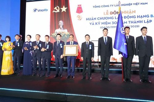 Vinafor hướng tới phát triển thành tập đoàn lâm nghiệp quy mô lớn