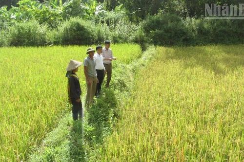 Bình yên trở lại nơi 'vàng tặc' từng hoành hành ở Sơn La