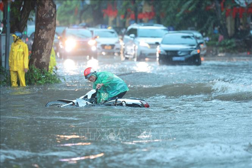 Hà Nội khẩn trương thực hiện các phương án phòng, chống bão số 11