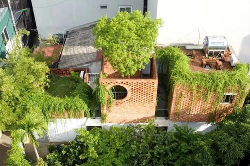 Ngôi nhà ống hiện đại kết hợp vườn xanh mướt tại Hà Nội