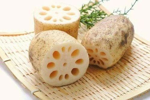 Loại củ được ví như nhân sâm Hàn Quốc