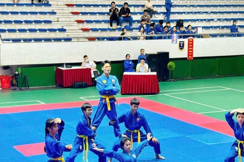Khai mạc Giải Vovinam Quảng Ninh lần thứ XIV: Tuyển chọn tài năng, kích cầu du lịch