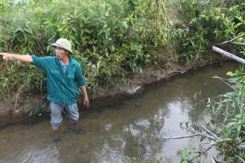 Quảng Trị: Dân tố trại lợn lợi dụng mưa bão xả thải đầu nguồn nước sinh hoạt