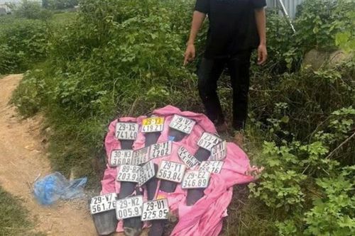 Nhóm 'báo thủ' lĩnh án vì chặt biển số xe người đi đường để ra oai