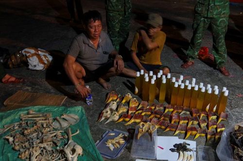 Phát hiện hơn 7 tấn hàng hóa nghi vảy tê tê, da trăn, động vật quý hiếm