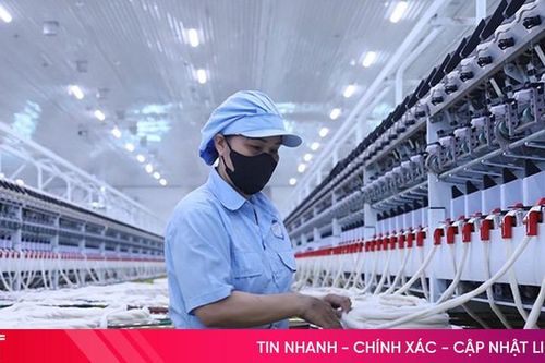 Sản phẩm 'made in' Hà Tĩnh có mặt hơn 20 quốc gia trên thế giới