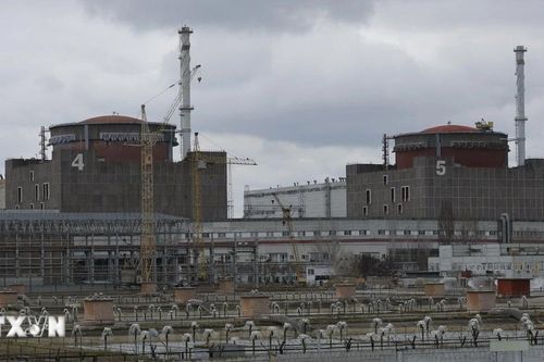 IAEA thảo luận với Nga và Ukraine về nhà máy điện hạt nhân Zaporizhzhia
