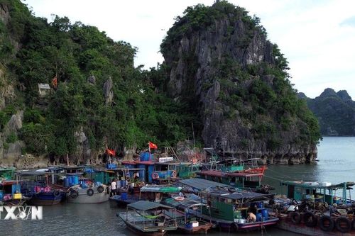 Các địa phương gấp rút kiểm đếm tàu thuyền, bảo vệ đê điều và sản xuất