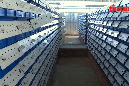 Nông dân Cần Thơ tăng thu nhập nhờ mô hình nuôi cua biển trong hộp nhựa