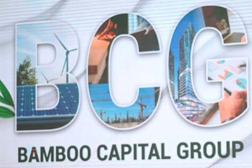Bamboo Capital giải trình việc cổ phiếu bị đình chỉ giao dịch