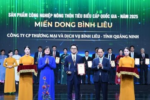 Chùm ảnh: Lễ tôn vinh sản phẩm công nghiệp nông thôn tiêu biểu lần thứ VI