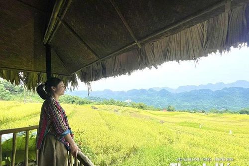 Mùa vàng Pù Luông: Từ 'cảnh đẹp để ngắm' sang 'trải nghiệm để nhớ'