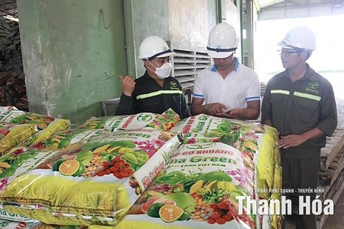 Bảo đảm cung ứng phân bón cho sản xuất vụ đông