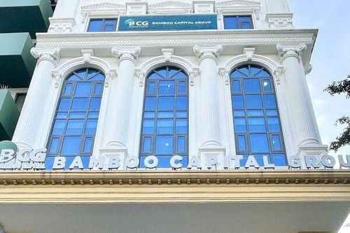 Bamboo Capital công bố lộ trình khắc phục sau khi cổ phiếu bị đình chỉ giao dịch