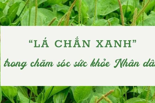 'Lá chắn xanh' trong chăm sóc sức khỏe Nhân dân