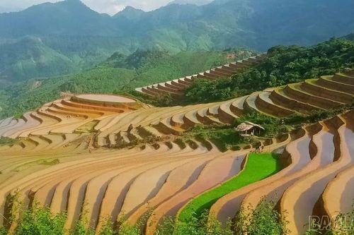 Từ ruộng bậc thang đến giấc mơ du lịch xanh