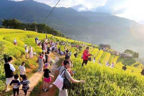 Lào Cai: Kinh tế tăng trưởng ổn định, cơ cấu chuyển dịch tích cực