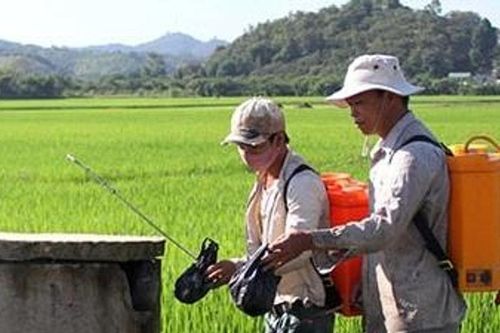Thu gom rác trong canh tác lúa để bảo vệ sức khỏe, môi trường