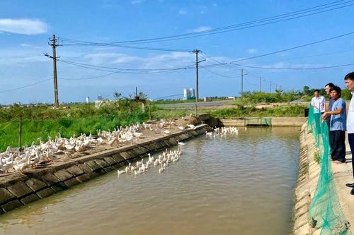 Để phát triển các mô hình kinh tế tập thể