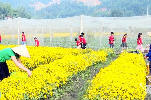 Hướng mở cho du lịch trải nghiệm nông nghiệp