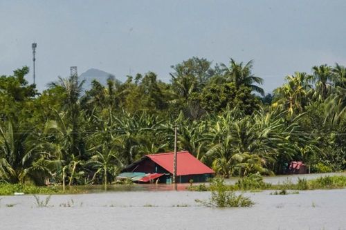 Chia sẻ yêu thương với đồng bào bị bão lũ tại Thanh Hóa, Nghệ An