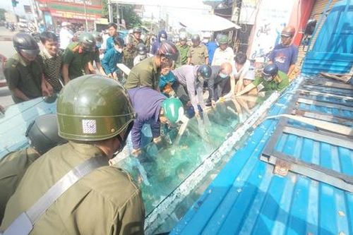 Hai công nhân bị kính cường lực đè bất tỉnh ở Tây Ninh