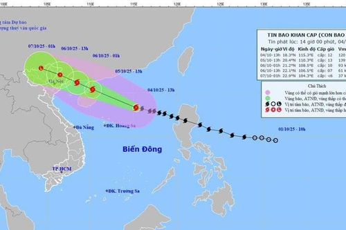 Bão số 11 MATMO cách đặc khu Hoàng Sa khoảng 330km, đêm mai mưa lớn trên đất liền
