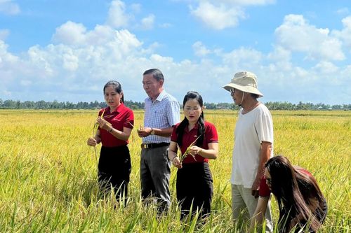 Điểm tựa cho người nông dân vươn lên làm giàu