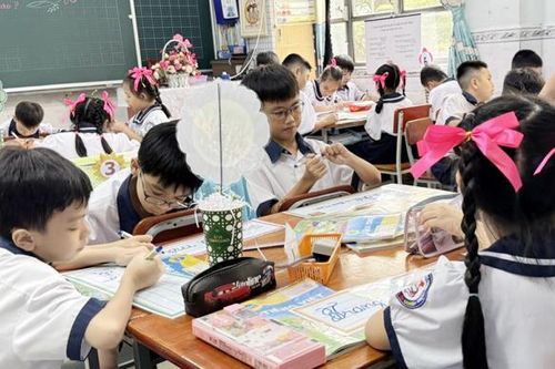 TP Hồ Chí Minh vẫn còn tình trạng quá tải trường, lớp