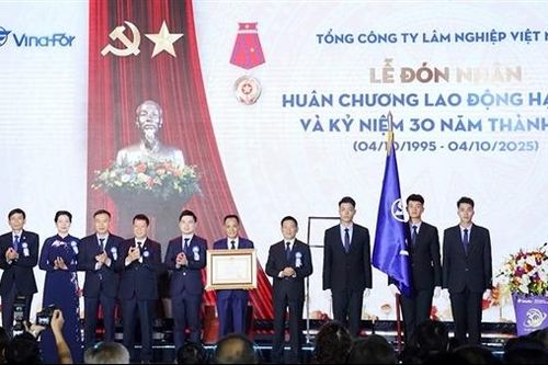 Tổng Công ty Lâm nghiệp Việt Nam phát triển kinh tế xanh, góp phần đảm bảo an ninh, quốc phòng