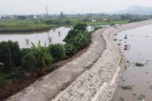 11 tỉnh, thành phố khẩn trương rà soát an toàn đê điều
