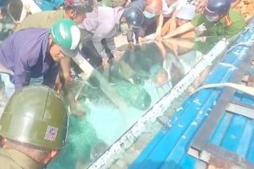 Hai công nhân bị kính cường lực lật ngang đè bất tỉnh
