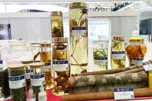 Tập trung nâng cao chất lượng y học cổ truyền, nhất là thuốc cổ truyền