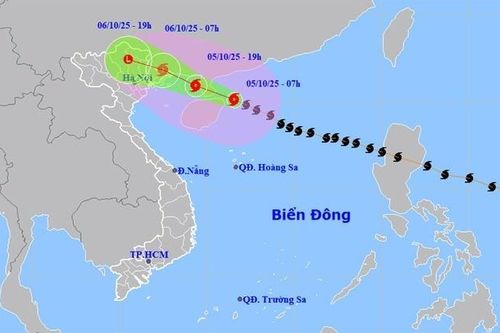 Đại học hoãn thi, chuyển lịch học online để tránh bão Matmo