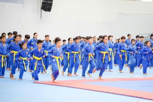 Khơi dậy niềm tự hào võ Việt