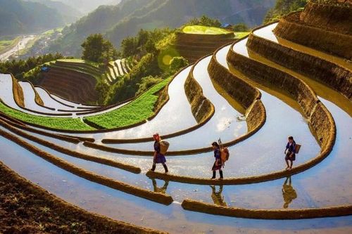 Vẻ đẹp nhân văn trong Triển lãm Mỹ thuật-Nhiếp ảnh 'Sắc thu'