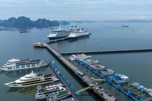 Quảng Ninh cấm biển ứng phó bão số 11 Matmo