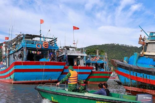 Hải Phòng triển khai nhiều giải pháp ứng phó bão số 11