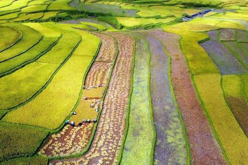 Tỉnh nào có dân cư thưa thớt nhất Việt Nam hiện nay?