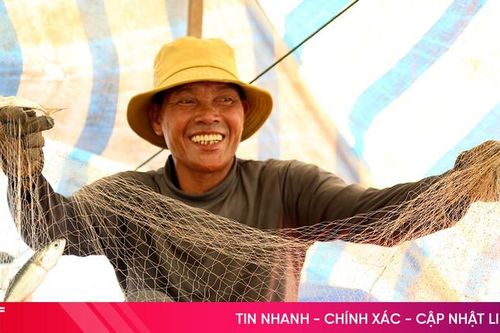 Trúng đậm cá bạc má, ngư dân thu tiền triệu mỗi chuyến ra khơi