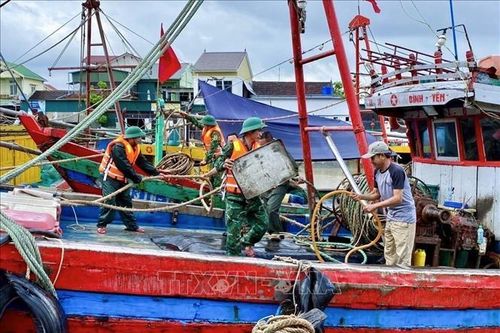 Nghệ An cấm tàu thuyền ra khơi trong bão số 11