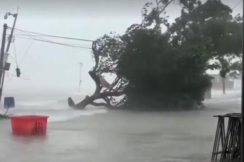 Video bão Matmo càn quét miền Nam Trung Quốc giữa cao điểm nghỉ lễ