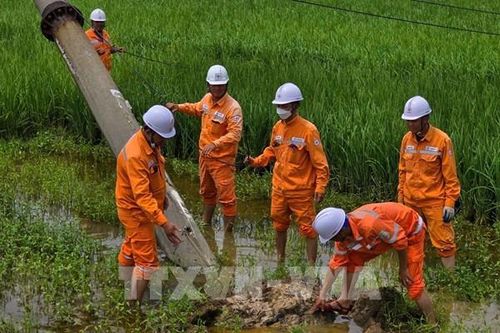 Điện lực miền Bắc khôi phục 97% điện sau bão số 10, sẵn sàng ứng phó bão số 11