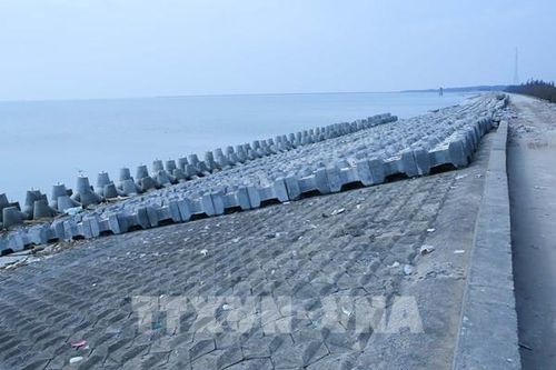 Ứng phó bão số 11: Ninh Bình gấp rút gia cố hệ thống đê biển