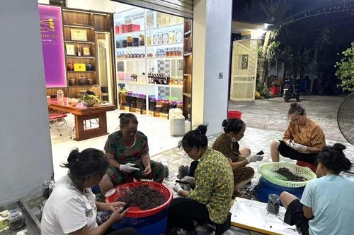 Từ sim rừng đến thương hiệu bản sắc